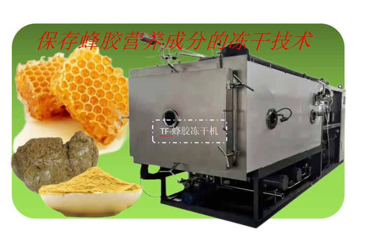 蜂胶冻干粉冷冻干燥技术和蜂胶冻干机设备