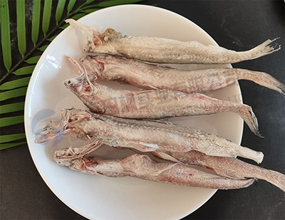 海鲜鱼冻干：食品冻干技术应用于龙头鱼冷冻干燥原理