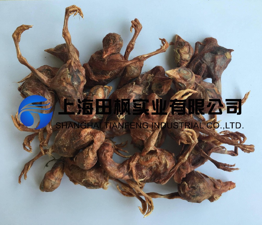 宠物零食小鹌鹑冻干