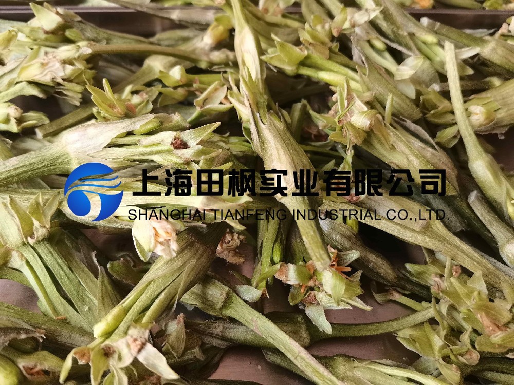 水芙蓉冻干：药食同源冻干机应用水芙蓉冻干加工