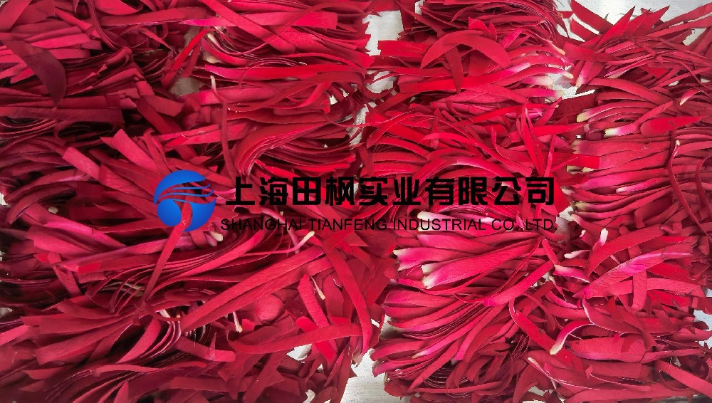 鲜花冻干：鲜花冷冻干燥机应用玫瑰冻干案例