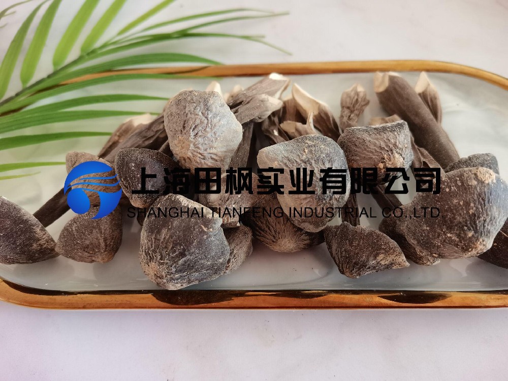 鸡枞菌冻干机：食品冻干机真空冷冻干燥鸡枞菌工艺流程