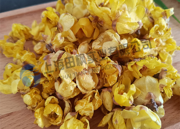 腊梅花冻干，鲜花冷冻干燥机