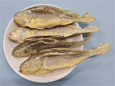 田枫黄花鱼.jpg