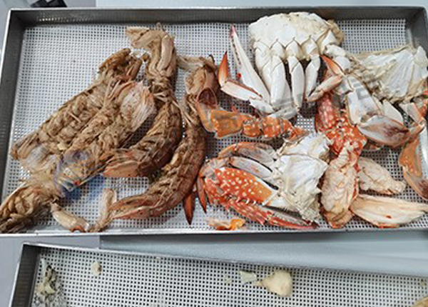 海鲜冻干机：食品真空冷冻干燥机在海鲜冻干加工和研发的设备