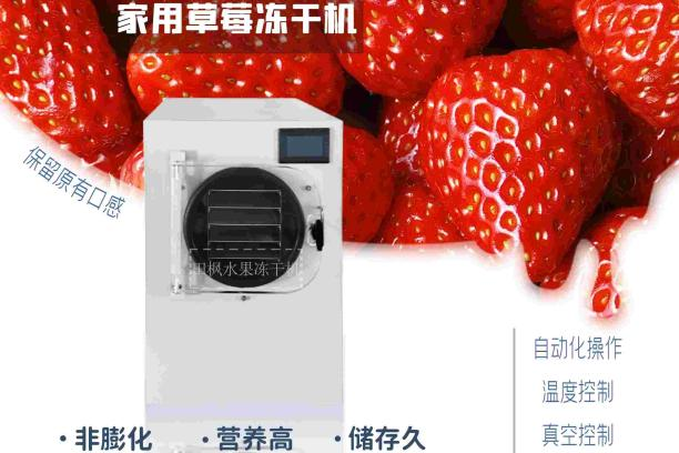 揭秘草莓冻干机的神奇魔力