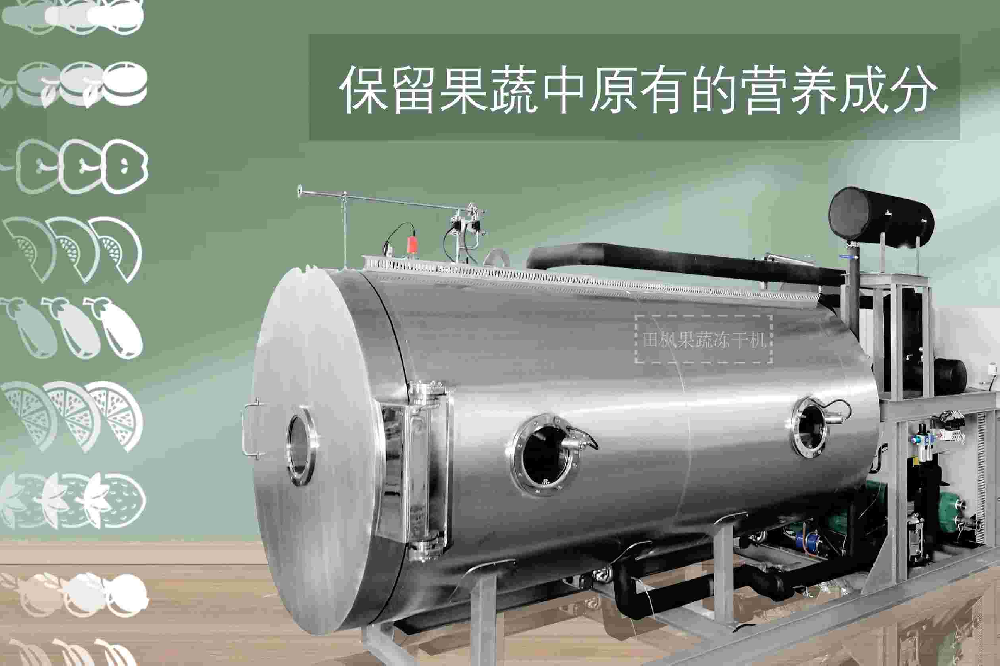 冻干科技助力菠萝蜜