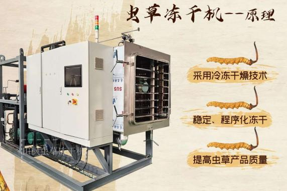 冻干锁鲜，虫草营养都保留