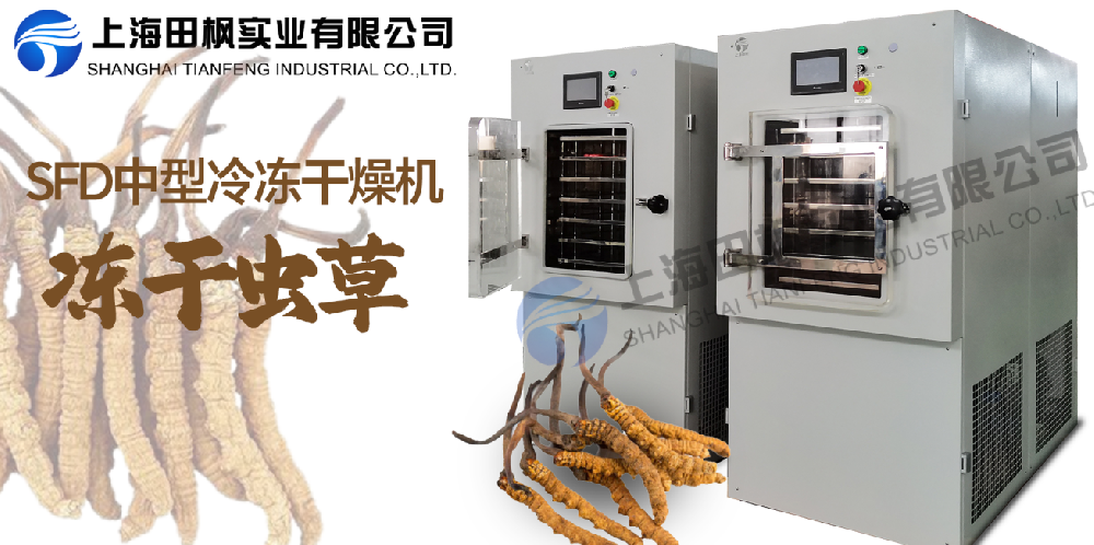 冻干机在虫草保鲜中的应用